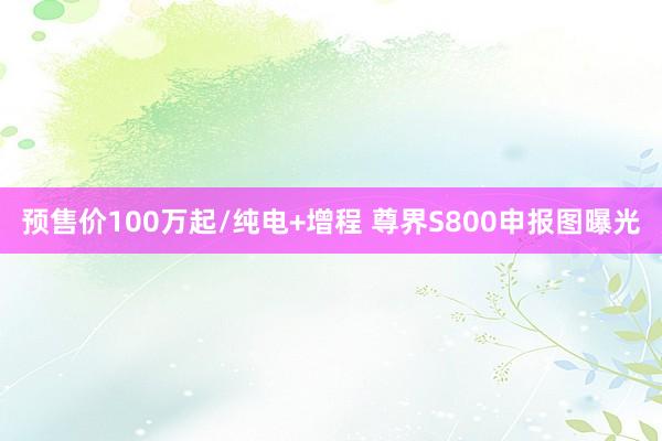 预售价100万起/纯电+增程 尊界S800申报图曝光