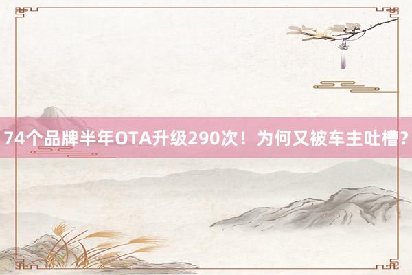 74个品牌半年OTA升级290次！为何又被车主吐槽？