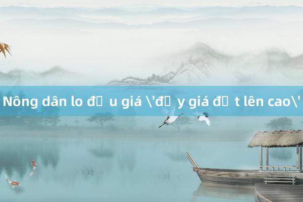 Nông dân lo đấu giá 'đẩy giá đất lên cao'