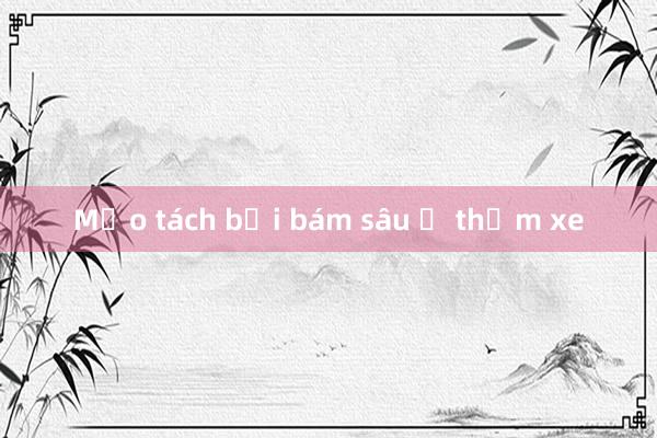 Mẹo tách bụi bám sâu ở thảm xe