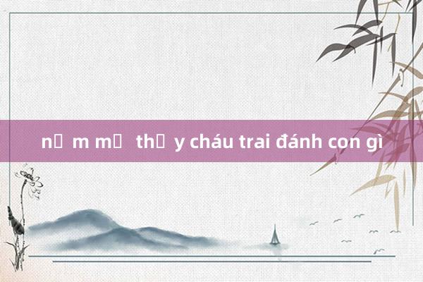 nằm mơ thấy cháu trai đánh con gì