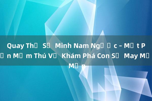 Quay Thử Số Minh Nam Ngược – Một Phần Mềm Thú Vị Khám Phá Con Số May Mắn