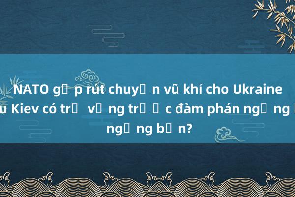 NATO gấp rút chuyển vũ khí cho Ukraine: Liệu Kiev có trụ vững trước đàm phán ngừng bắn?