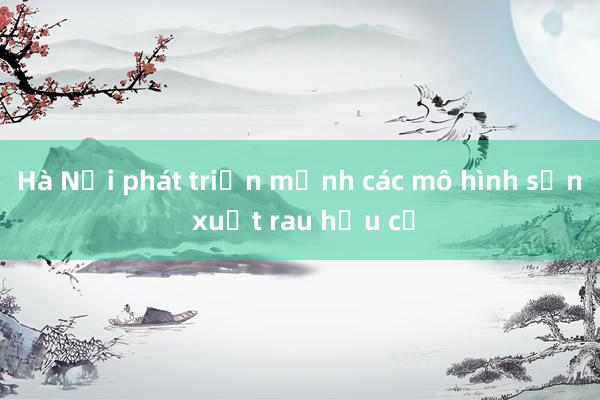 Hà Nội phát triển mạnh các mô hình sản xuất rau hữu cơ