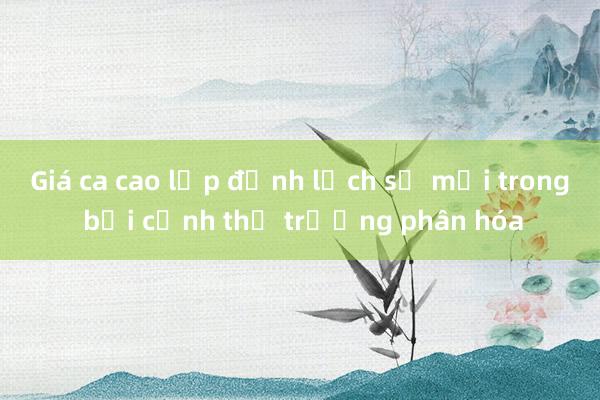 Giá ca cao lập đỉnh lịch sử mới trong bối cảnh thị trường phân hóa