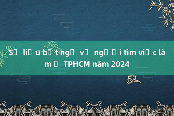 Số liệu bất ngờ về người tìm việc làm ở TPHCM năm 2024