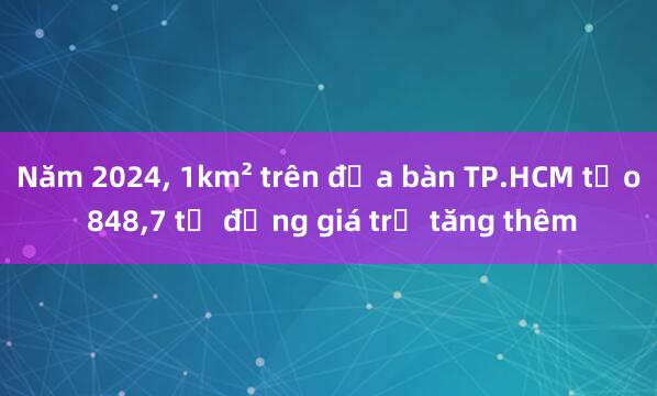 Năm 2024， 1km² trên địa bàn TP.HCM tạo 848，7 tỉ đồng giá trị tăng thêm